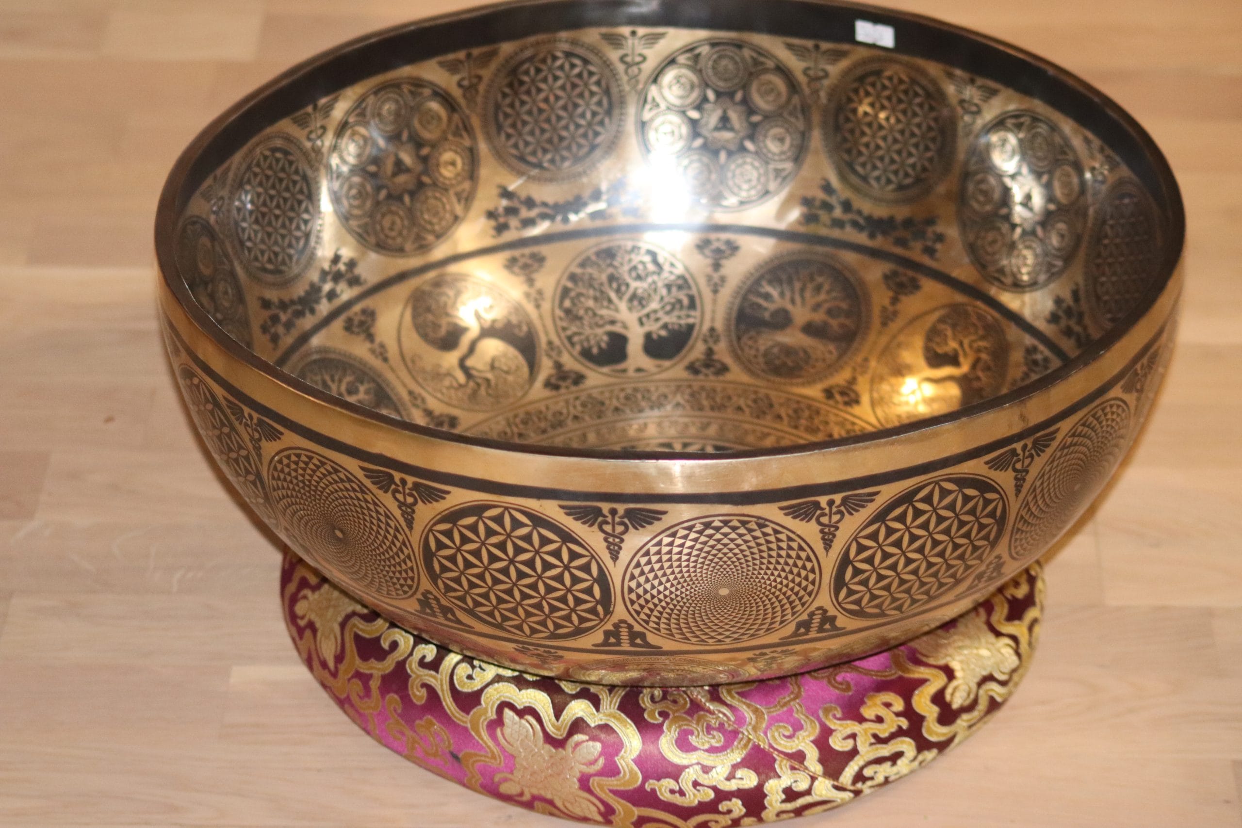 IMG_3697 VENUS - Image 1